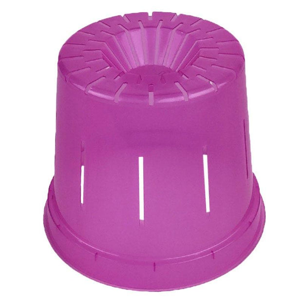 Wild Orchid Slotted Violet Pot - Slot-Pots