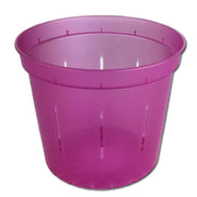 Wild Orchid Slotted Violet Pot - 6 Inch - Slot-Pots