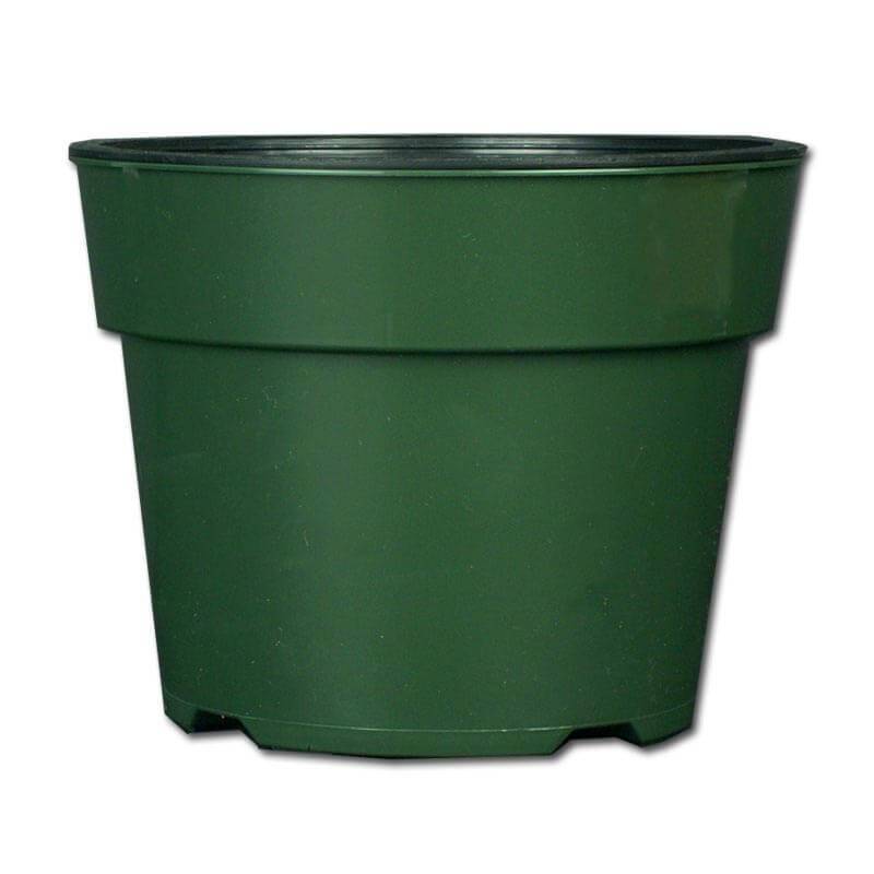 6.5" Green Oxygen Core Dual Orchid Pot