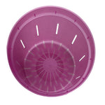 Rose Quartz Slotted Violet Pot - Slot-Pots