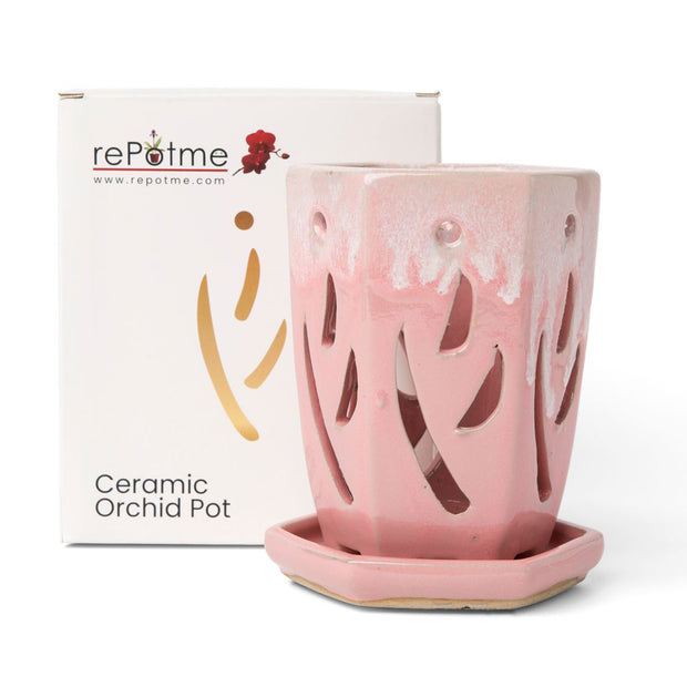 4" x 6" Cream Over Cotton Candy Fluted Hexagon Ceramic Orchid Pot