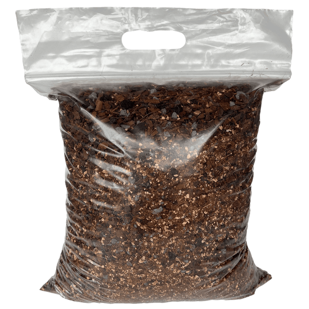Pothos Imperial Potting Soil Mix