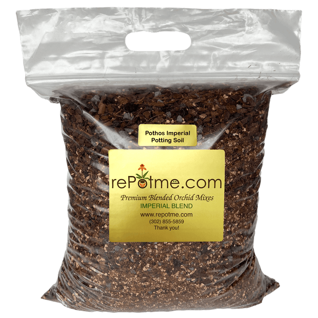 Pothos Imperial Potting Soil Mix