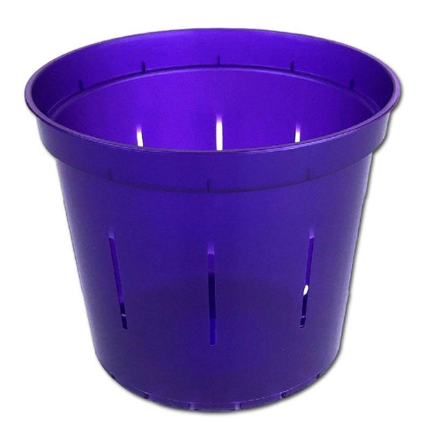 Purple Amethyst Slotted Violet Pot - 6 Inch - Slot-Pots