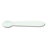 1/4 Teaspoon Measuring Spoon