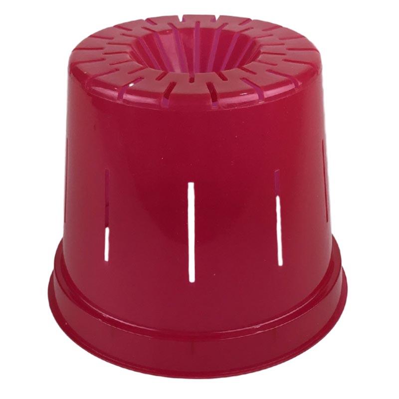 Ruby Red Slotted Violet Pot - Slot-Pots