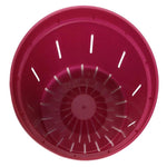 Ruby Red Slotted Violet Pot - Slot-Pots