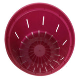 Ruby Red Slotted Violet Pot - Slot-Pots