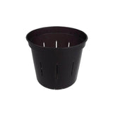 3" Black Onyx Slotted Orchid Pot