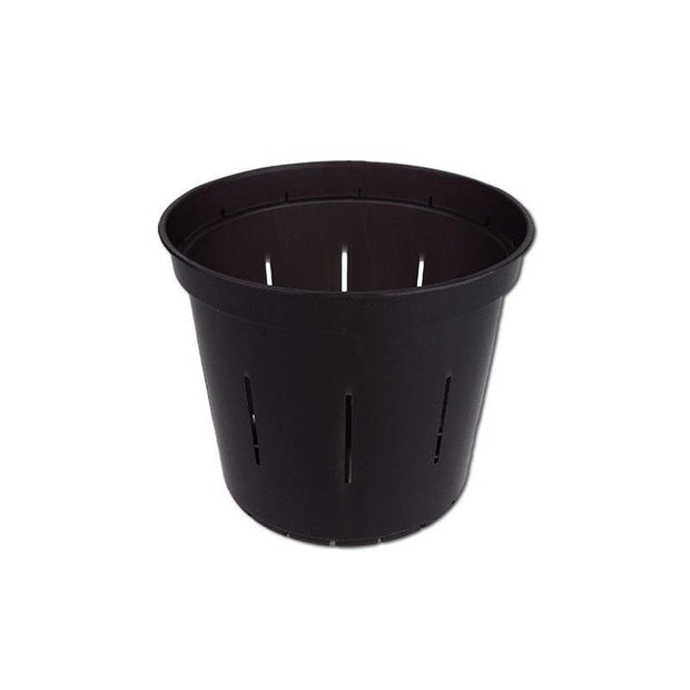 Black Onyx Slotted Violet Pot - 3 Inch - Slot-Pots