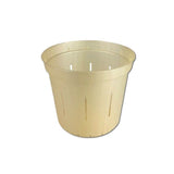 3" Golden Creme Slotted Orchid Pot
