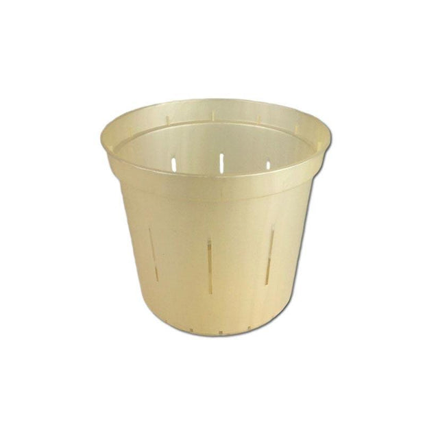 Golden Creme Slotted Violet Pot - 3 Inch - Slot-Pots