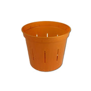 Copper Amber Slotted Violet Pot - 3 Inch - Slot-Pots