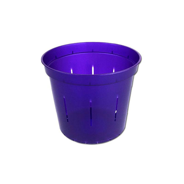 Purple Amethyst Slotted Violet Pot - 3 Inch - Slot-Pots