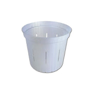White Pearl Slotted Violet Pot - 3 Inch - Slot-Pots