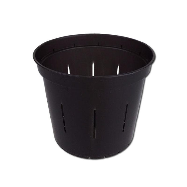 Black Onyx Slotted Violet Pot - 4 Inch - Slot-Pots