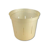 4" Golden Creme Slotted Orchid Pot