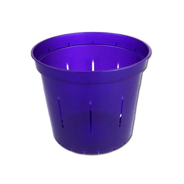 Purple Amethyst Slotted Violet Pot - 4 Inch - Slot-Pots