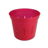 4" Ruby Red Slotted Orchid Pot