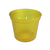 4" Yellow Topaz Slotted Orchid Pot