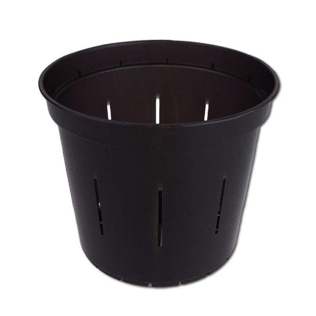 Black Onyx Slotted Violet Pot - 5 Inch - Slot-Pots
