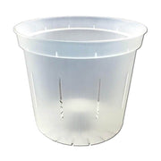 5" Slotted Clear Orchid Pot
