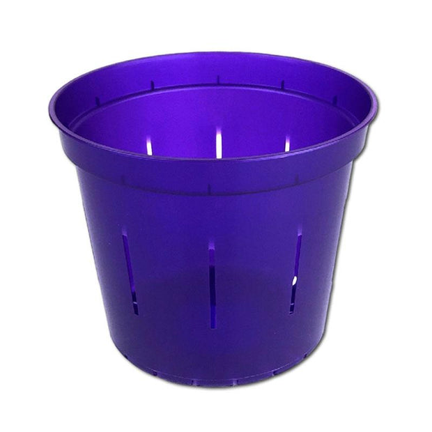 Purple Amethyst Slotted Violet Pot - 5 Inch - Slot-Pots