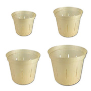 Golden Creme Slotted Violet Pot - Growers Assortment Of 4 - Slot-Pots