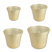 Growers Assortment of Golden Creme Slotted Orchid Pots