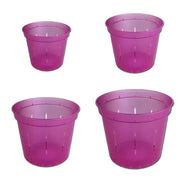 Wild Orchid Slotted Violet Pot - Growers Assortment Of 4 - Slot-Pots