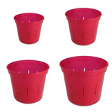 Growers Assortment of Ruby Red Slotted Orchid Pots