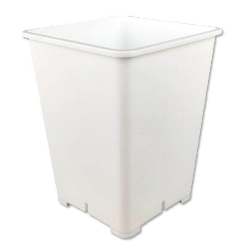 6" White Square 8" Tall Giant Pot