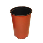5" Terracotta Plastic Paph Pot