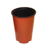 5" Terracotta Plastic Paph Pot