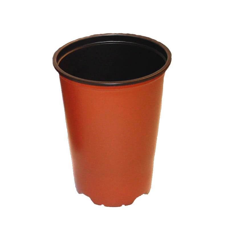 5" Terracotta Plastic Paph Pot