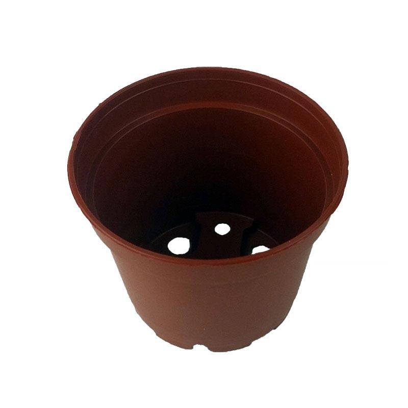 2.5 Miniature Plastic Violet Pot - Terracotta