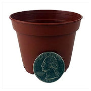 1.5" Miniature Plastic  Pot - Terracotta