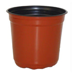 5" Taller Gloss Terracotta Flower Pot