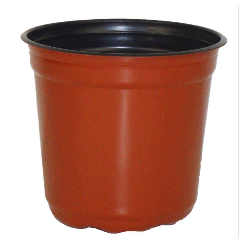 5" Taller Gloss Terracotta Flower Pot