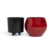 6 inch Aqua Core Self Watering Pot - Ruby Red