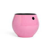 6 inch Aqua Core Self Watering Pot - Blush Pink