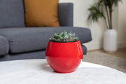 6 inch Aqua Core Self Watering Pot - Ruby Red