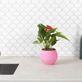 6 inch Aqua Core Self Watering Pot - Blush Pink