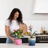 6 inch Aqua Core Self Watering Pot - Blizzard Blue