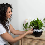 6 inch Aqua Core Self Watering Pot - Midnight Sky