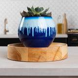 6 inch Aqua Core Self Watering Pot - Blizzard Blue