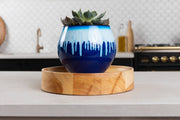 6 inch Aqua Core Self Watering Pot - Blizzard Blue