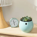 6 inch Aqua Core Self Watering Pot - Ocean Blue