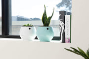 6 inch Aqua Core Self Watering Pot - Designer White