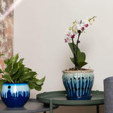 6 inch Aqua Core Self Watering Pot - Blizzard Blue
